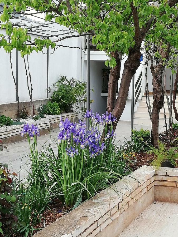 Apartman 1 Zadar Exterior photo